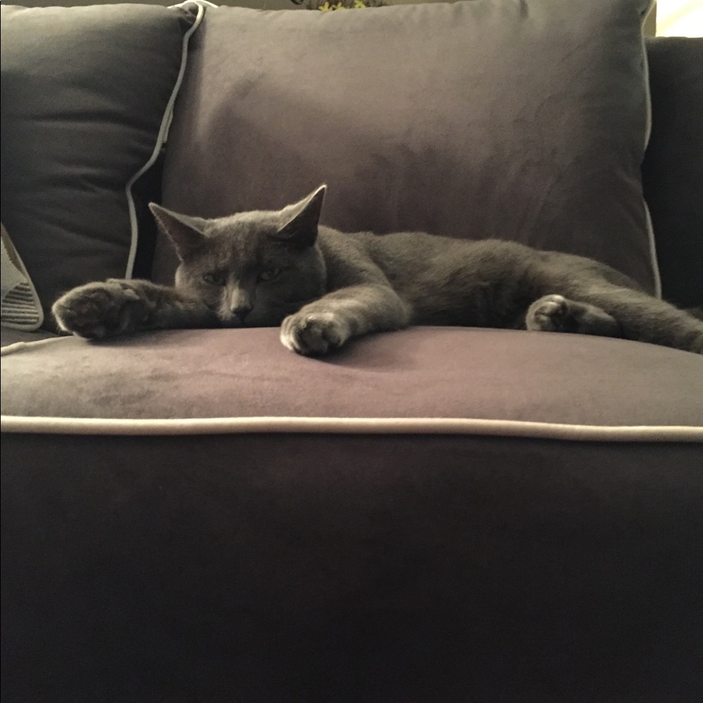 Meet your Posher, Maia